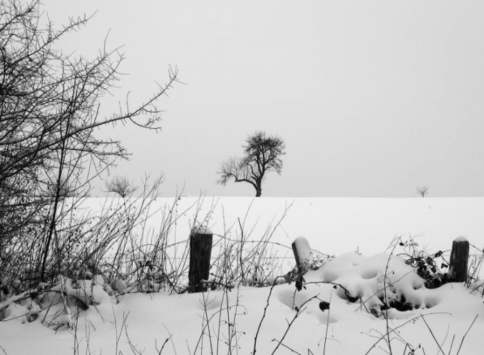 Winter in Taunusstein